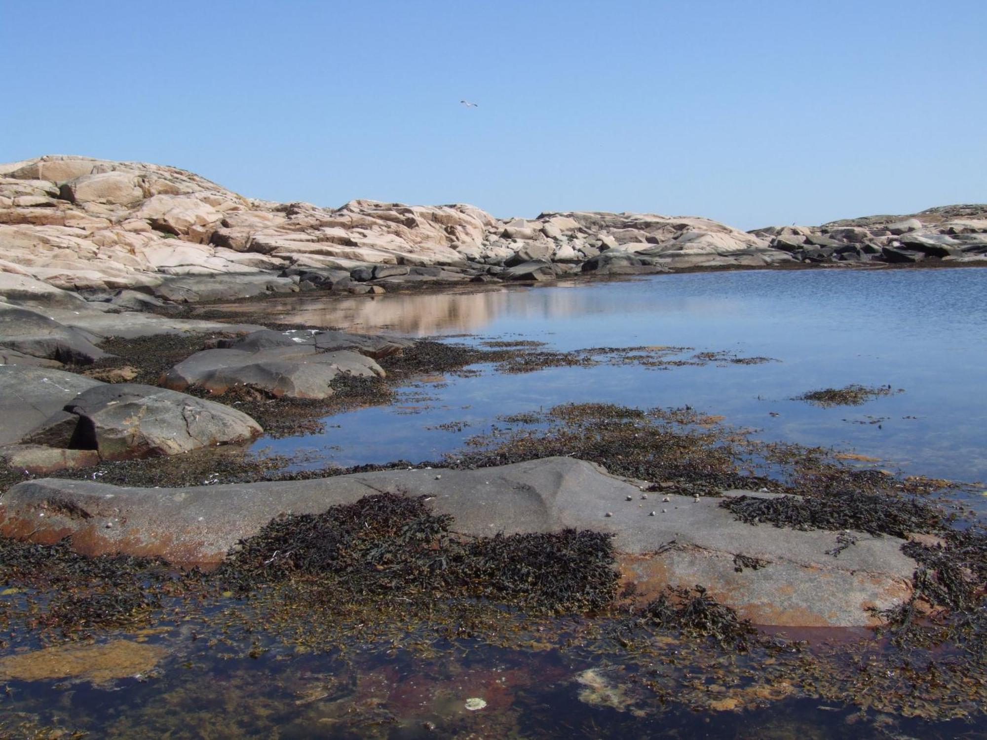 Hotell Fisketangen Kungshamn Luaran gambar